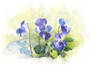 Stage d’aquarelle